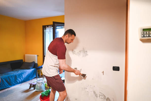Best Local Mold Removal Service  in Hauula, HI